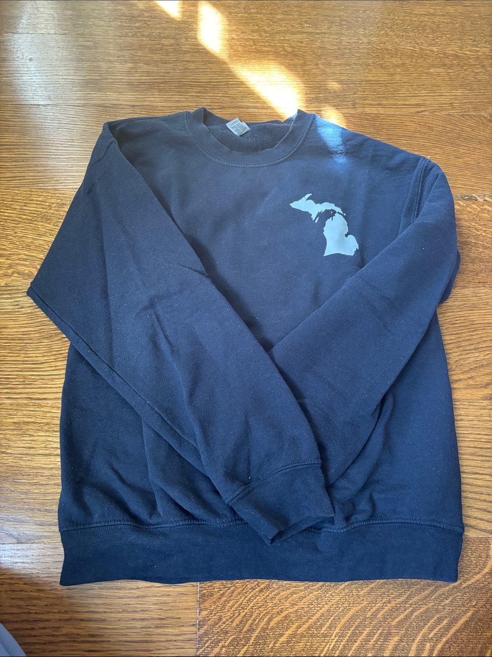 Crewneck Sweatshirt with Michigan Graphic on front and Traverse City on back